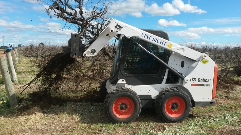 Vineyard Removal Vine Sight